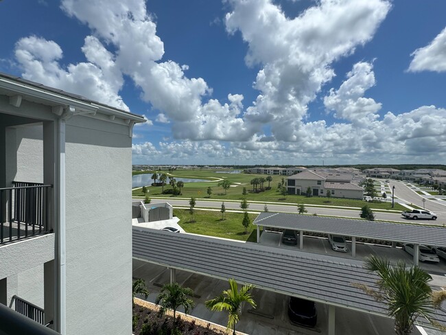 5651 Double Cir in Ave Maria, FL - Building Photo - Building Photo