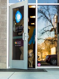 Pet Friendly Residence - Blue Dot Place Apartments in Colorado Springs, Colorado