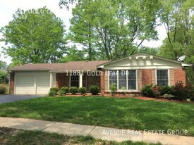 11881 Gold Leaf Dr in St. Louis, MO - Building Photo