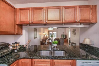 1393 Cadhay Ct in Safety Harbor, FL - Building Photo - Building Photo