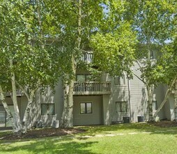 705 E Colorado Avenue in Urbana, IL - Foto de edificio - Building Photo