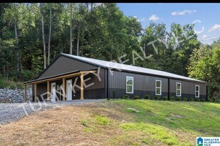 1035 Co Rd 1303 in Cullman, AL - Building Photo