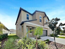 7119 Amelia Cove Ct in Sun City Center, FL - Building Photo