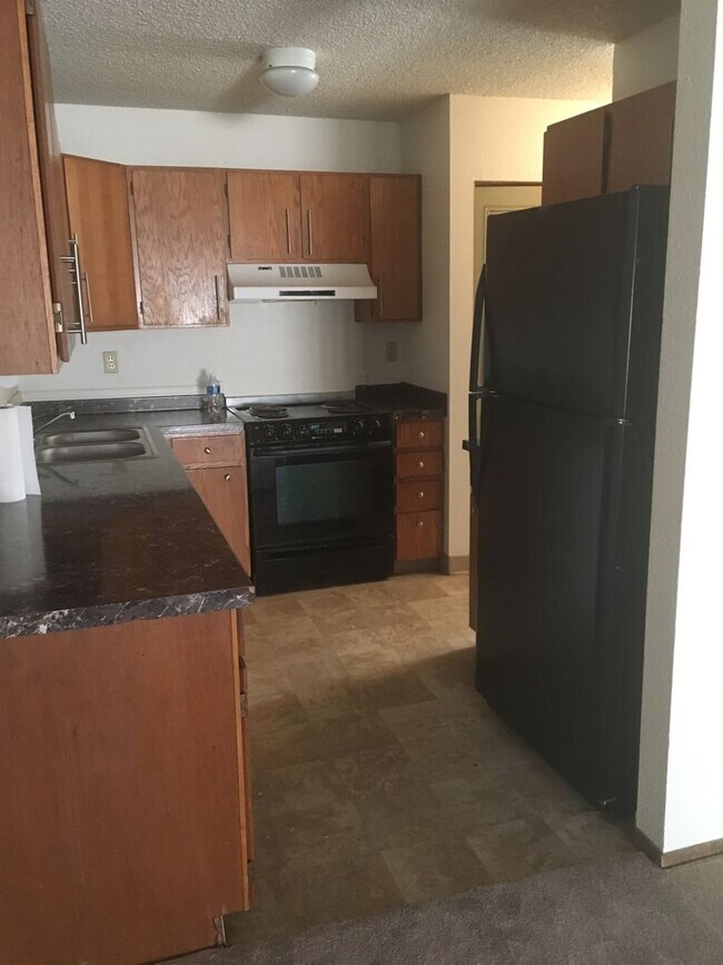 1711 Apelles Cir in Lafayette, CO - Building Photo - Building Photo