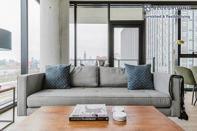 513 S Damen Ave in Chicago, IL - Building Photo - Building Photo
