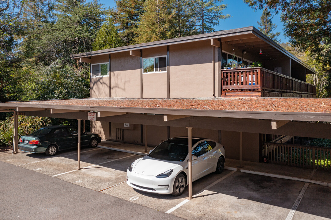 Pine Lane Apartments in Kentfield, CA - Building Photo