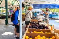 Apartments in Davis, CA