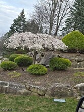 19 Lea Pl in Rockaway, NJ - Building Photo - Building Photo