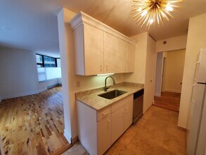 401 E Ontario St, Unit 410 in Chicago, IL - Building Photo - Building Photo