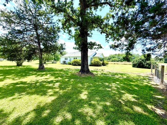 4407 Shiloh Rd in Willard, NC - Building Photo - Building Photo