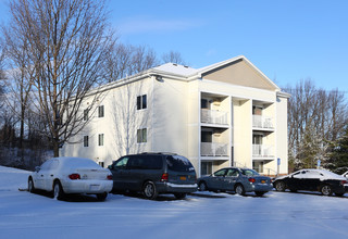 Maloff Towers Apartments in Chittenango, NY - Building Photo - Building Photo