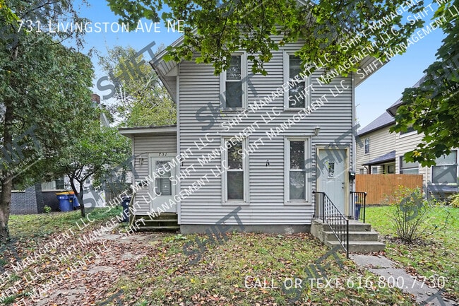 731 Livingston Ave NE in Grand Rapids, MI - Building Photo - Building Photo