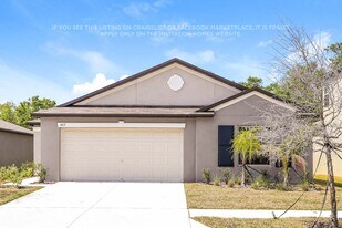 1417 Flower Dust Dr in Ruskin, FL - Building Photo