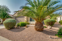 6506 W Heritage Way in Florence, AZ - Building Photo - Building Photo