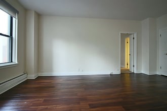 210 E Chestnut St in Chicago, IL - Building Photo - Building Photo
