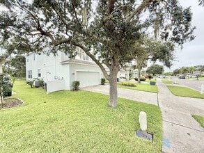 1647 Gray Bark Dr in Oldsmar, FL - Building Photo - Building Photo