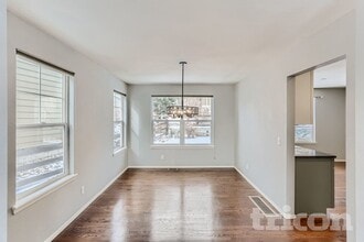 4565 Larksong Dr in Castle Rock, CO - Building Photo - Building Photo