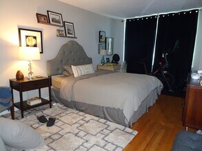 480 N McClurg Ct in Chicago, IL - Building Photo - Building Photo