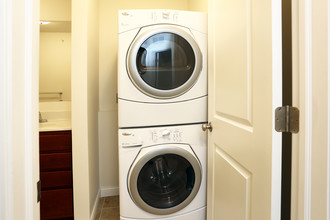 29th Street Townhomes in Davenport, IA - Building Photo - Interior Photo