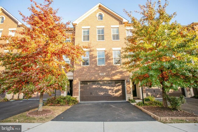 23690 Blanco Terrace in Ashburn, VA - Foto de edificio - Building Photo