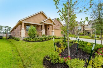 16 Florentino Vine Pl in Magnolia, TX - Building Photo - Building Photo