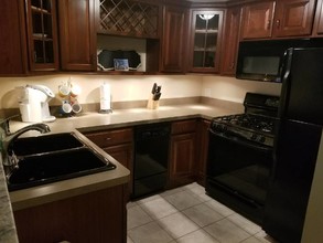 816 N Dearborn St, Unit GF in Chicago, IL - Building Photo - Building Photo