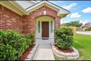 19111 Remington Manor Dr in Cypress, TX - Building Photo