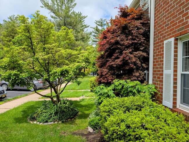 23 Viburnum Ct in Trenton, NJ - Building Photo - Building Photo
