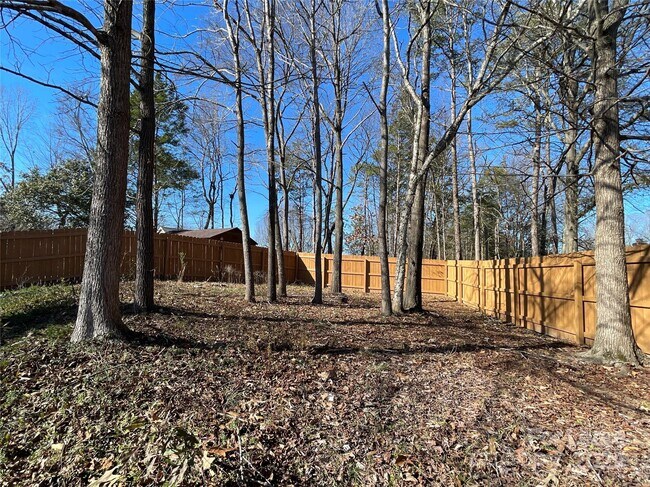 14520 Sapphire Ln in Pineville, NC - Building Photo - Building Photo