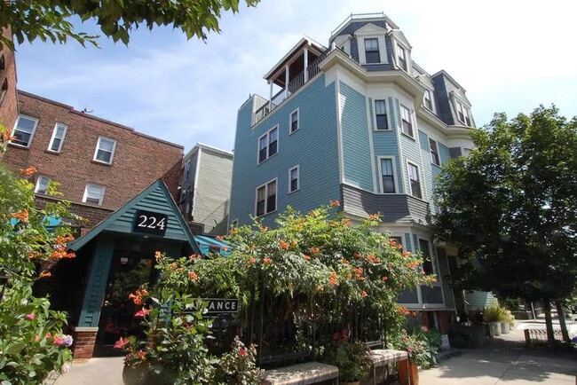 230 Boston St, Unit ID1355167P in Boston, MA - Building Photo - Building Photo
