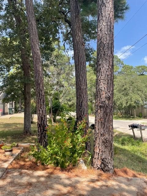 110 N Kanaio Dr in Bastrop, TX - Building Photo - Building Photo