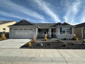 1631 Delta Downs Dr in Minden, NV - Building Photo