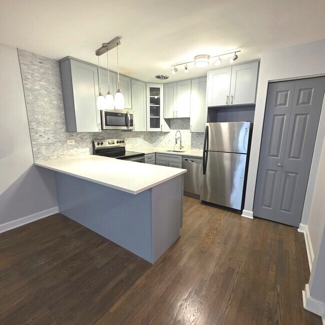 420 W Aldine Ave in Chicago, IL - Foto de edificio - Building Photo