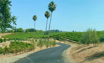 150 Old Vine Ln in Windsor, CA - Building Photo - Building Photo