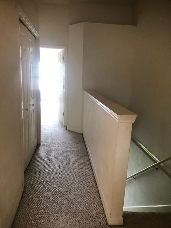 10035 Tranquility Way in Tampa, FL - Building Photo - Building Photo