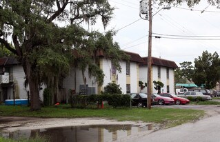 Gemini House in Tampa, FL - Building Photo
