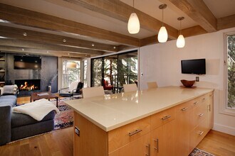 1034 E Cooper Ave in Aspen, CO - Building Photo - Building Photo