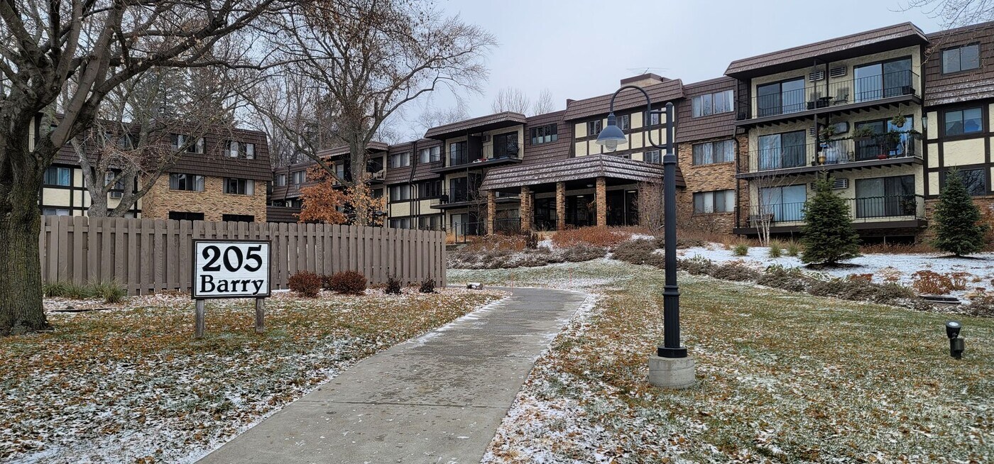 215 Barry Ave S in Wayzata, MN - Building Photo