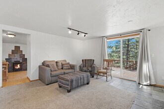 77 Catamount Ln in Bailey, CO - Building Photo - Building Photo