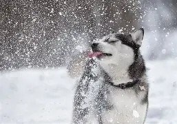 Northlake Lofts in Lakeville, MN - Building Photo - Building Photo