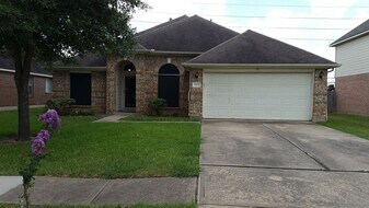 11638 Peachwood Lake Dr in Sugar Land, TX - Building Photo