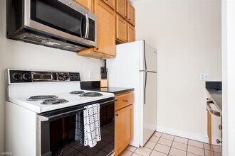36 Lewis St in Boston, MA - Building Photo - Building Photo