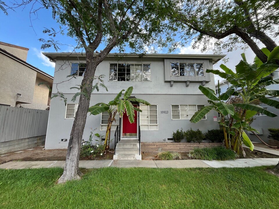 10823 Whipple St in Los Angeles, CA - Building Photo