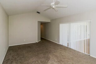 5505 Ave Du Soleil in Lutz, FL - Building Photo