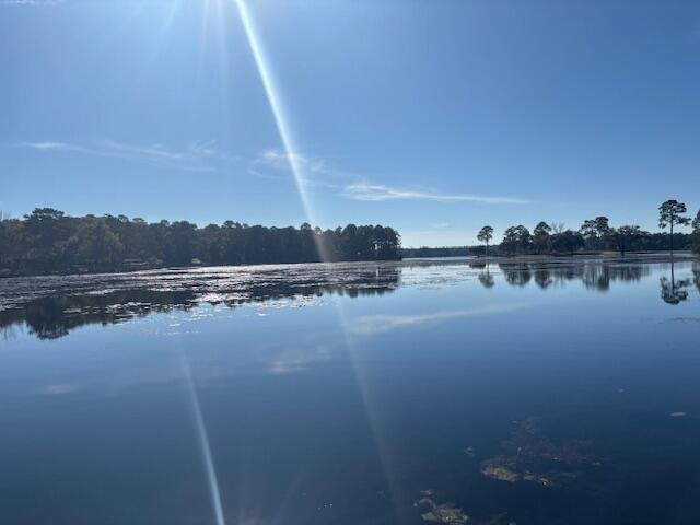 847 Squirrel Rd in Defuniak Springs, FL - Building Photo - Building Photo