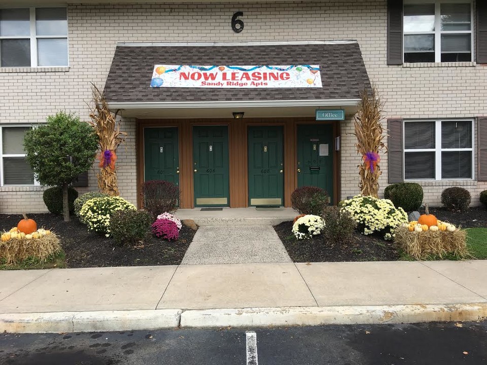 Sandy Ridge Apartments in Carneys Point, NJ - Building Photo