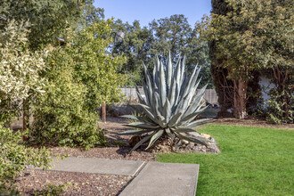 1309 Jackson St in Chico, CA - Building Photo - Building Photo