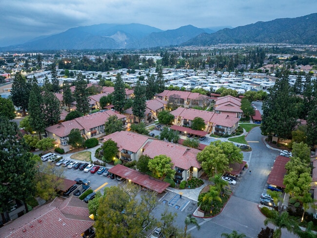 Citrus Place