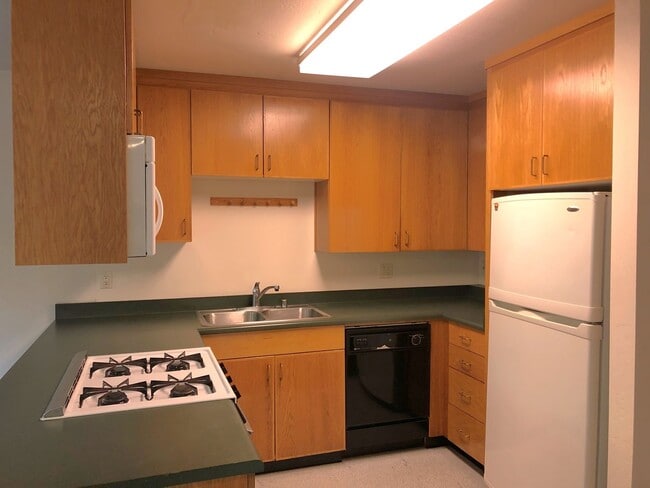 2436 Ellsworth St in Berkeley, CA - Building Photo - Building Photo