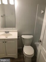19443 Brassie Pl in Montgomery Village, MD - Building Photo